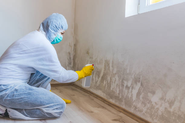 Bathroom Mold Removal assessment in Douglas bathroom