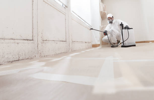 Black mold remediation team in Douglas